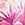  Sporti Plus Size Palm Royale Moderate Printed Sweetheart One Piece Swimsuit