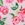  Sporti X Emma Weyant Garden Rose Danielle Bikini Bottom