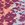  Sporti X Gretchen Walsh Desert Python Tracy Double Strap Bikini Top