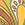  Sporti Groovy Zodiac Aries Jammer Swimsuit (24-40)